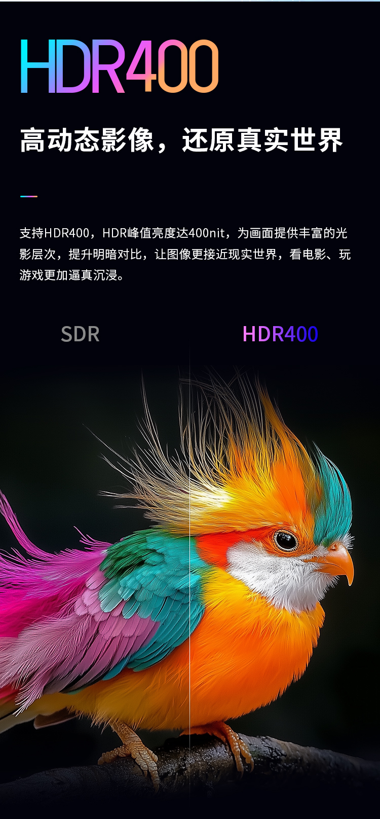 P2418C 产品详情 8