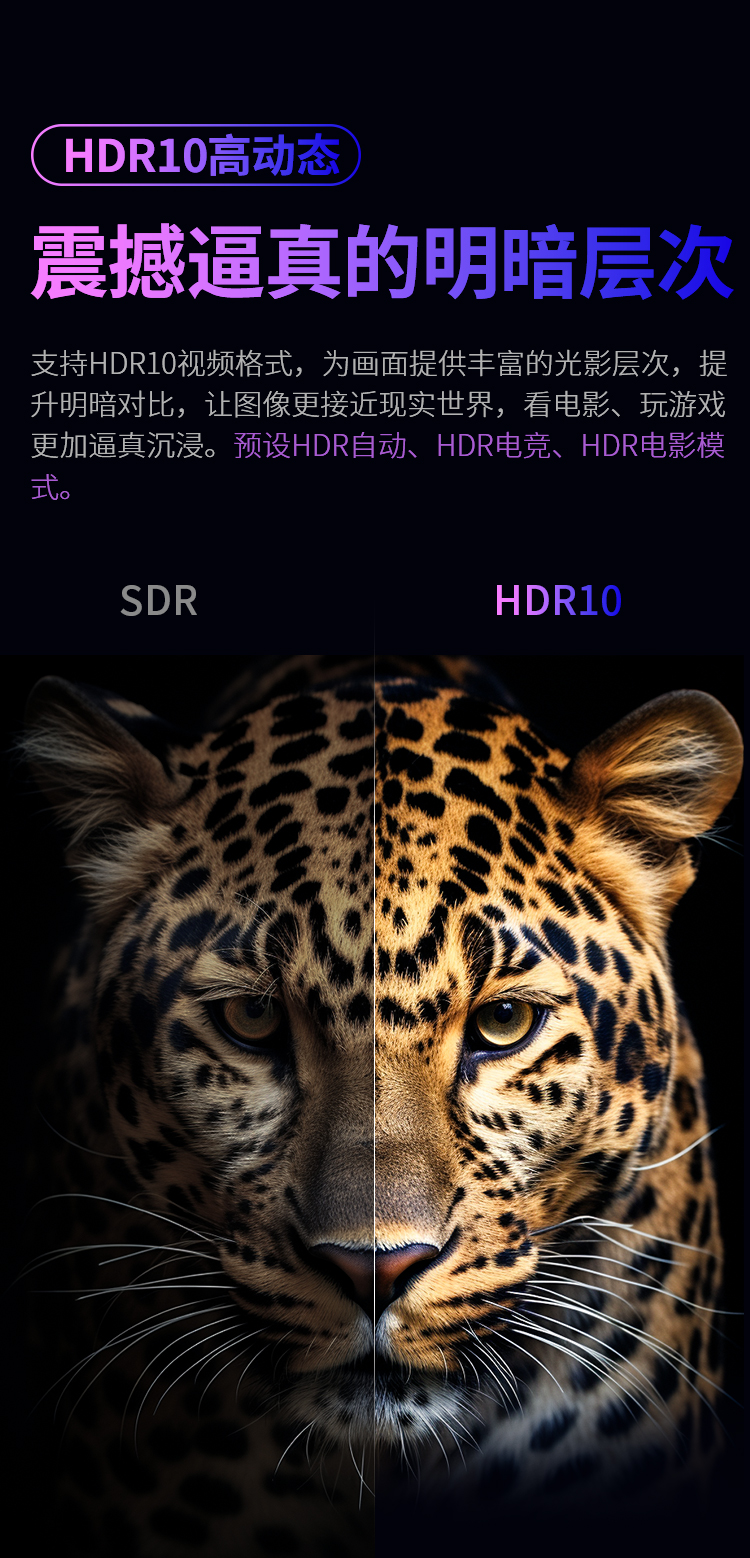 H24T1Q 产品详情 10