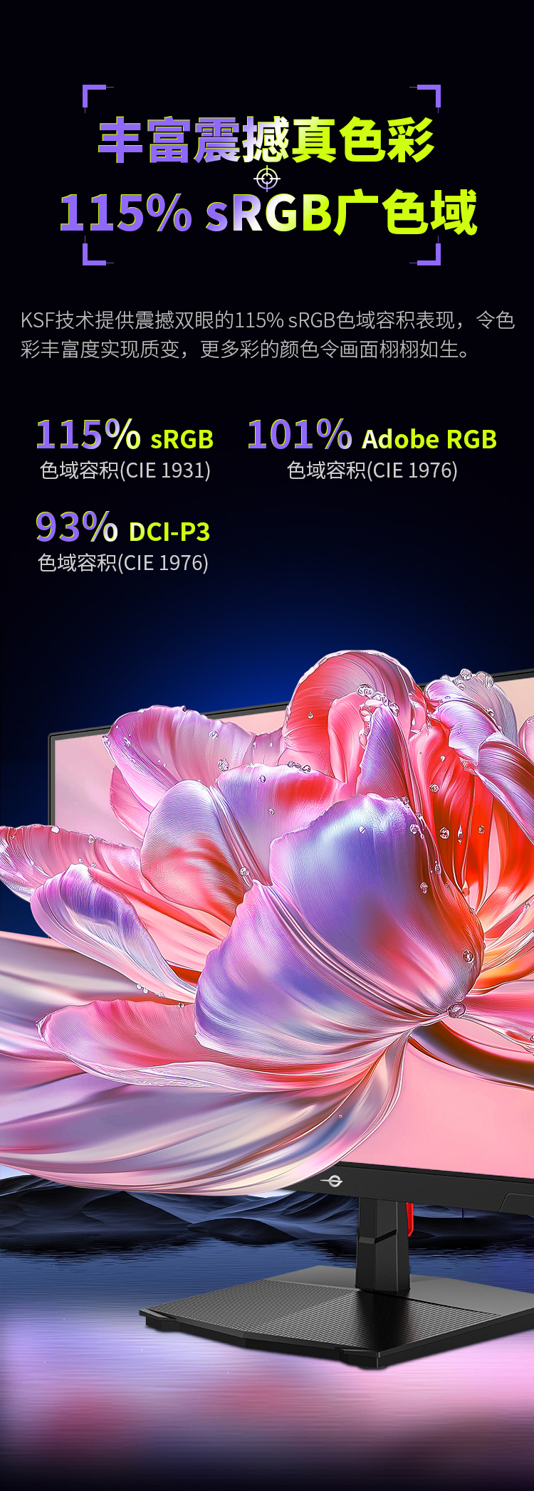 P2510H PLUS 产品详情 6