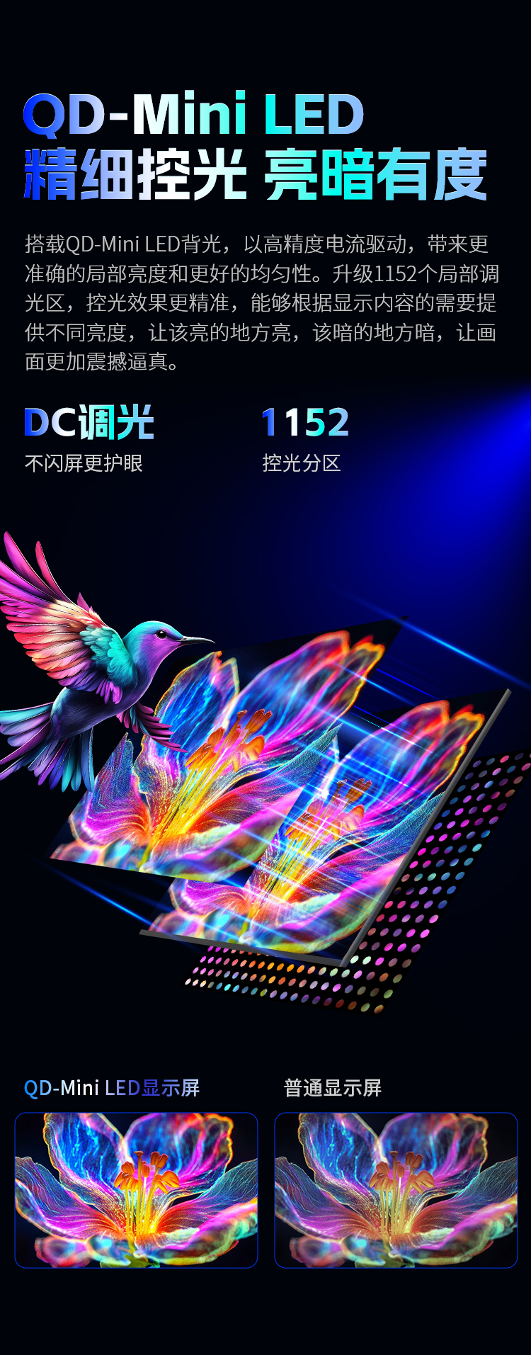 P245MS PRO+ 产品详情 6