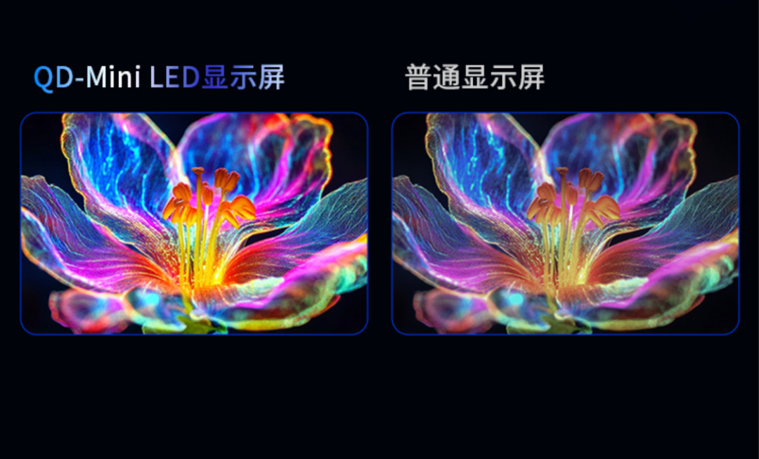 【赛事预告】冠军直通LGD试训,泰坦军团P245MS PRO+出任光年电竞·三角洲新星杯指定显示器